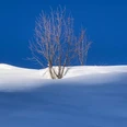 Winterfoto christine Nauer