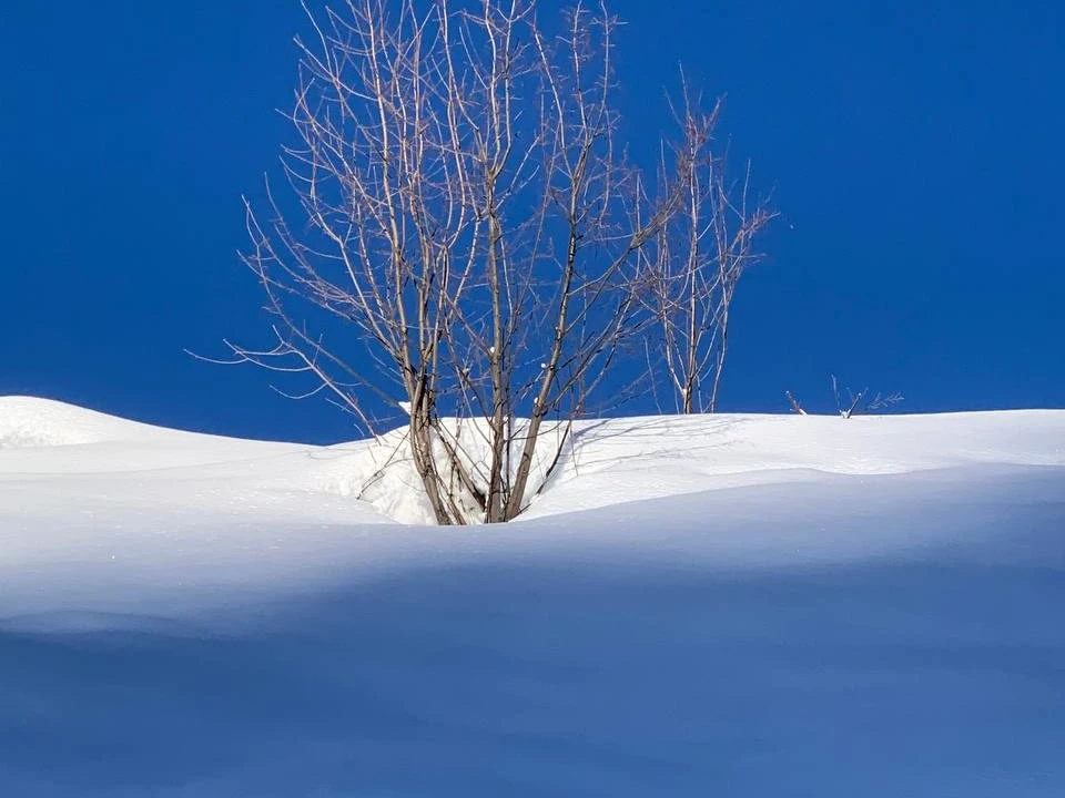 Winterfoto christine Nauer