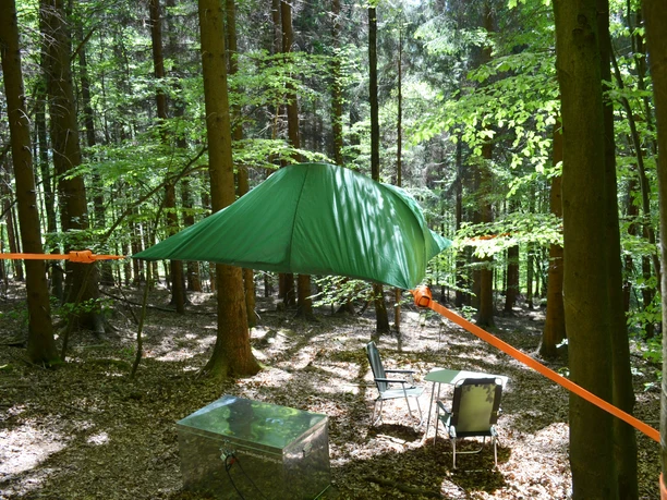 Tree tent in the forest