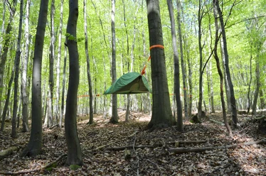 Baumzelt im Wald Boomtent in het bos