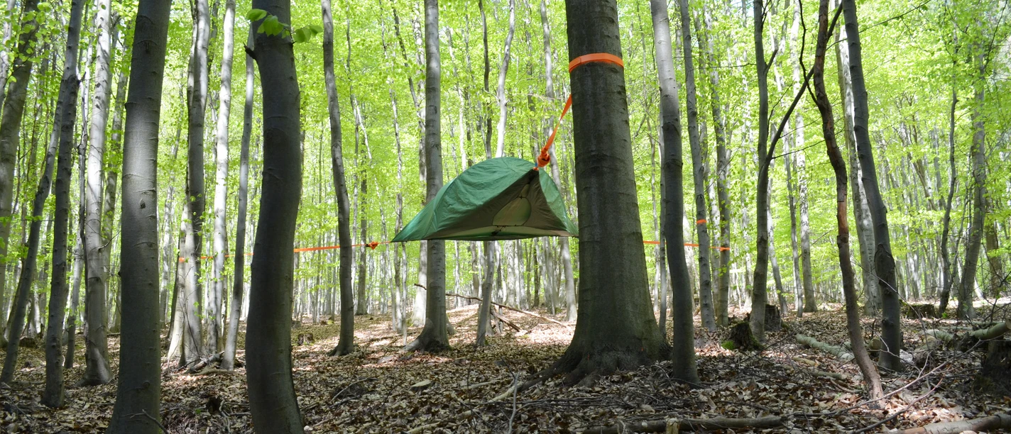 Baumzelt im Wald Tree tent in the forest