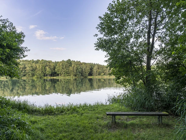 Naturschutzgebiet Horster Moorsee Sitzbank im Naturschutzgebiet Horster See