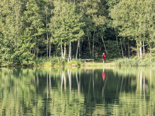 Naturschutzgebiet Horster Moorsee Spaziergänger im Naturschutzgebiet Horster Moorsee