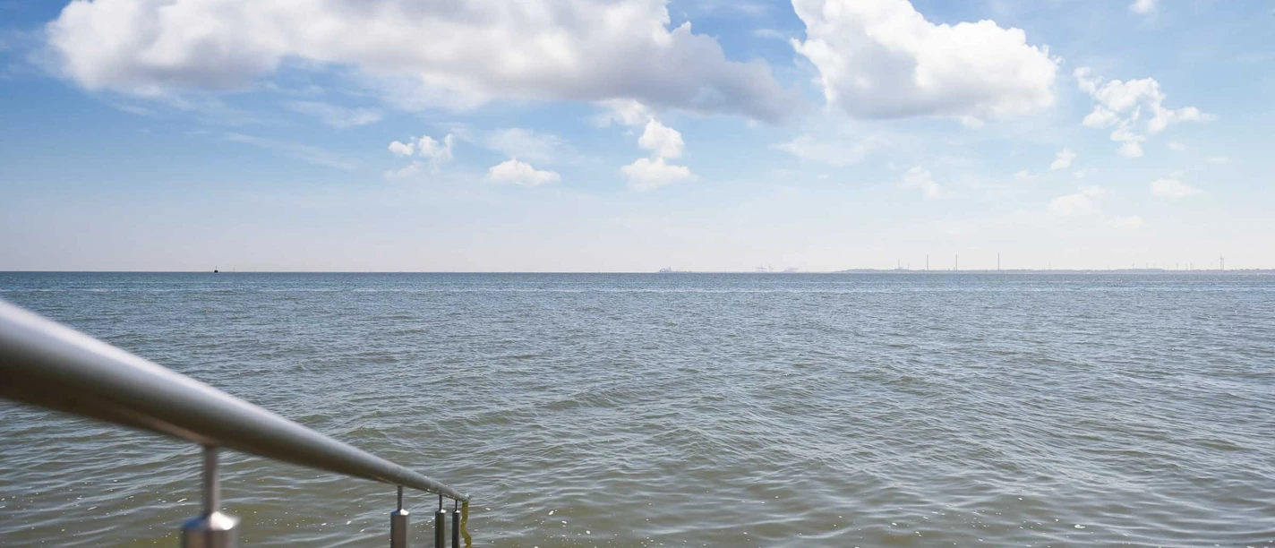 Green Tiny Spot Schillig Green Tiny Spot Schillig