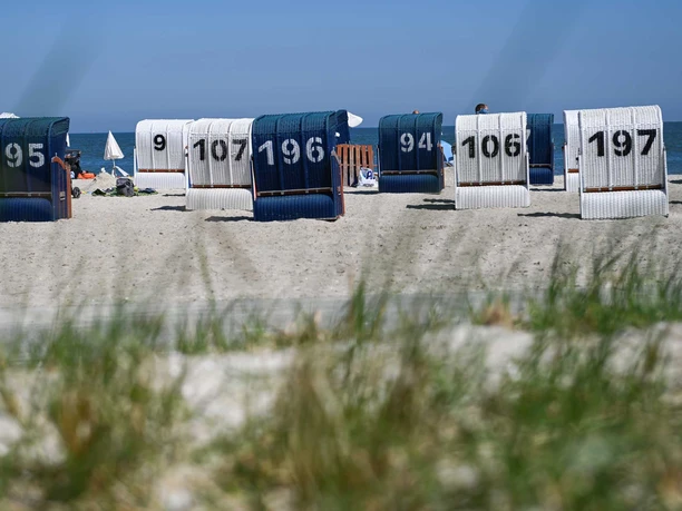 Green Tiny Spot Schillig Green Tiny Spot Schillig