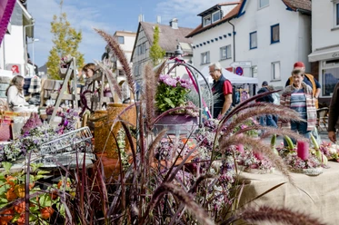 2022_Herbstmarkt Neuenhain_Quelle_Stadt Bad Soden am Taunus (17).jpg