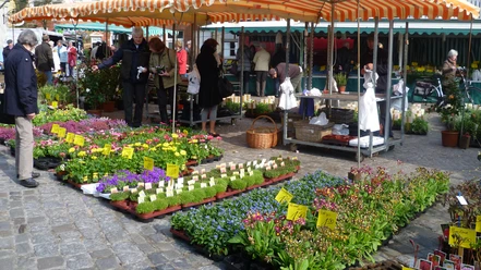 Wochenmarkt in Leer Das Bild zeigt den Wochenmarkt auf dem Ernst-Reuter-Platz in Leer