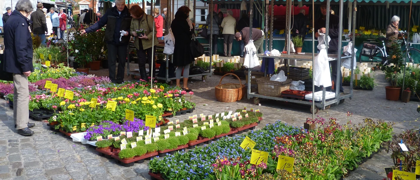 Wochenmarkt in Leer The picture shows the weekly market on Ernst-Reuter-Platz in Leer