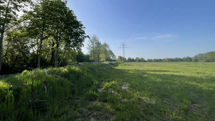 Wallheckenlandschaft Das Bild zeigt eine der vielen Wallhecken in Ostfriesland