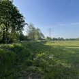 Wallheckenlandschaft Das Bild zeigt eine der vielen Wallhecken in Ostfriesland