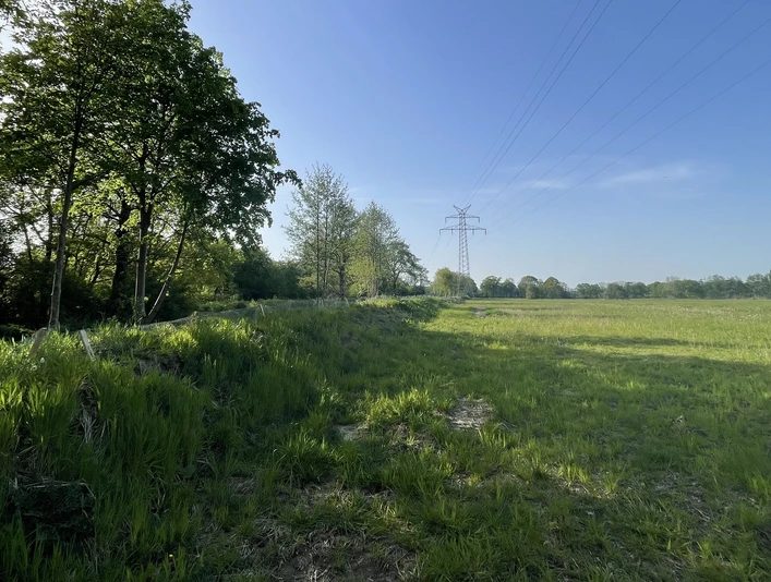 Wallheckenlandschaft Das Bild zeigt eine der vielen Wallhecken in Ostfriesland