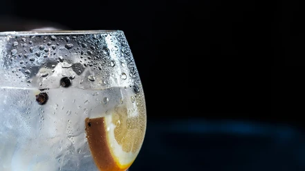 Bar Hotel Atlantic Juist.jpg Bar Hotel Atlantic Juist