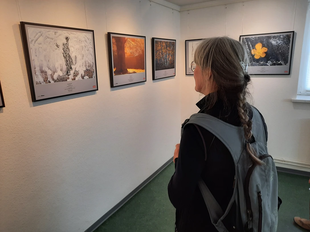 Fotoausstellung im Nationalparkhaus Ilsetal