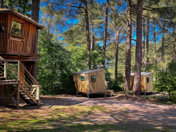 Green Tiny Sleep Spaces Cuxhaven Wernerwald Groene Slaapruimtes Cuxhaven Wernerwald