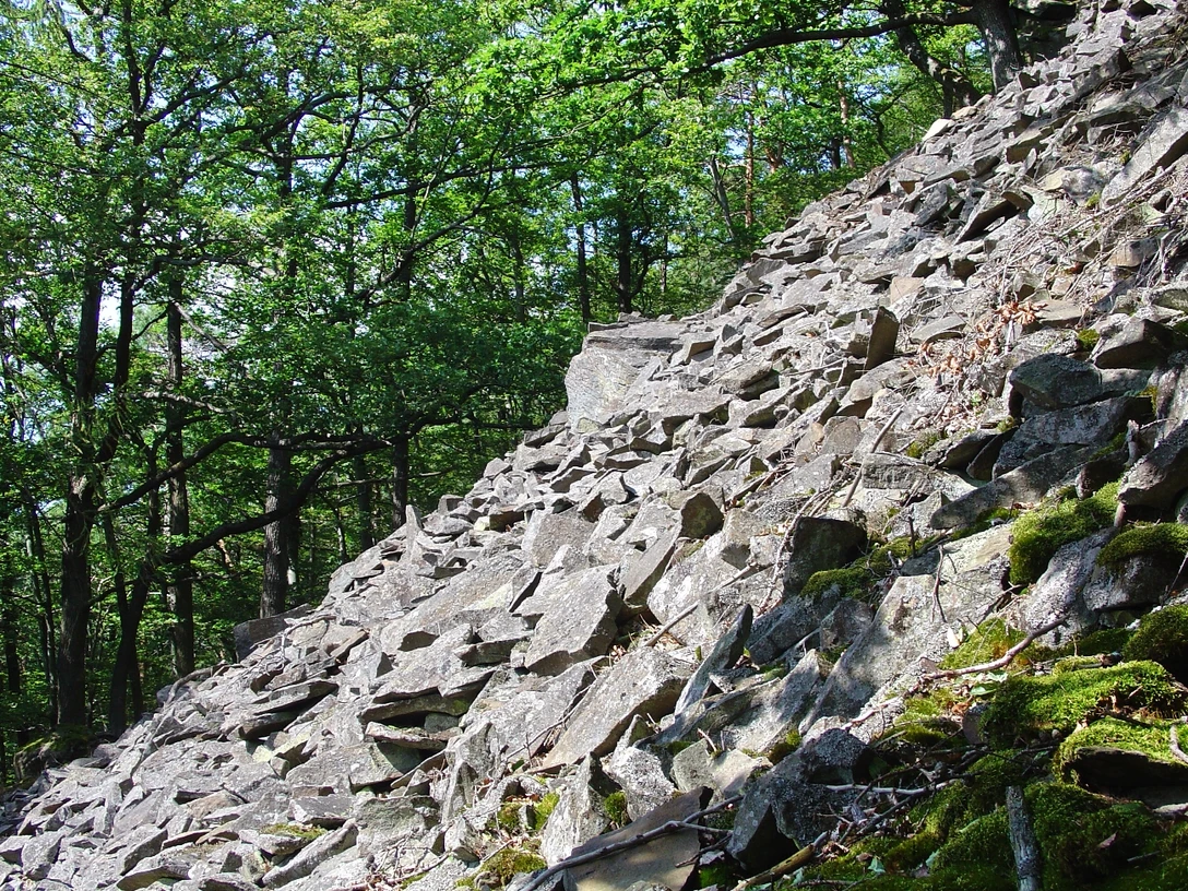 Blockhalde im Nationalpark_Daudenberg.jpg