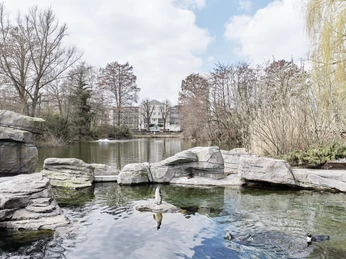 Penguin plant Pinguin AnlagePenguin plant