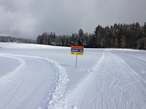 Loipen auf dem Lindenberg