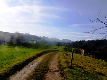 von Und. Chriesibaume nach Süden