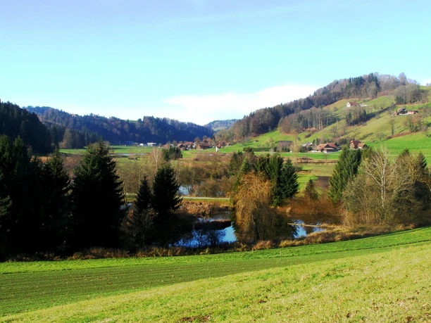 natürliche Fischzuchtweiher bei Ostergau
