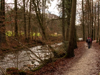 Im Wäldchen kurz nach der Badi