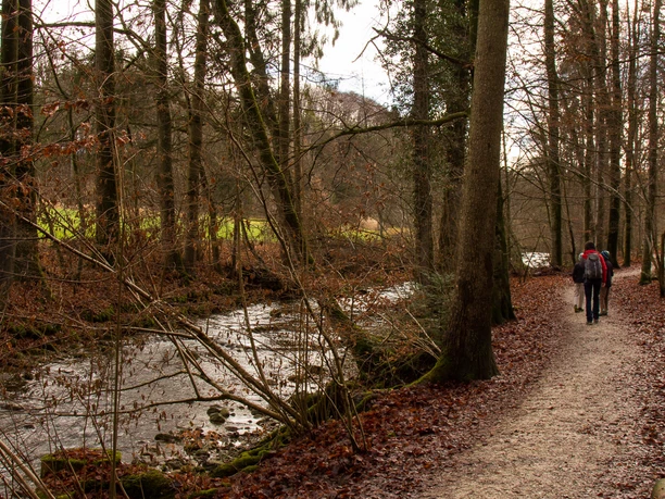Im Wäldchen kurz nach der Badi