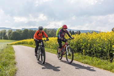 An Rapsfeldern vorbei bei Gunzwil