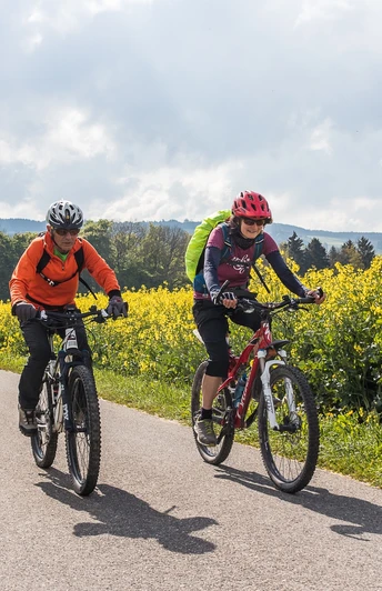 An Rapsfeldern vorbei bei Gunzwil