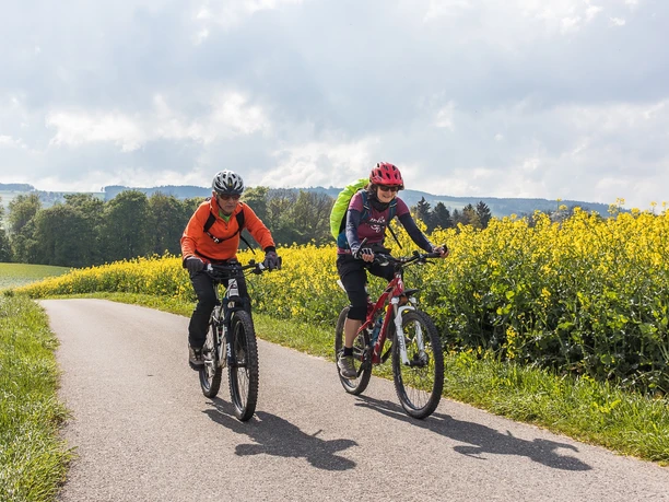 An Rapsfeldern vorbei bei Gunzwil