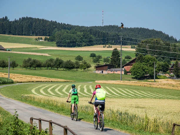 Das Ziel vor Augen, die Antenne auf dem Butteberg