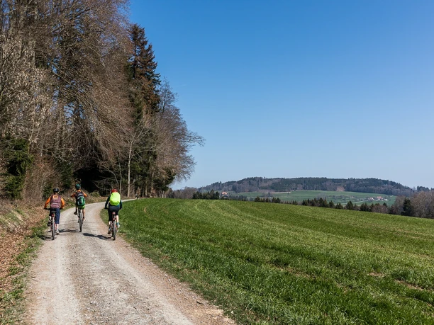 Auf dem Butteberg mit Blick auf den Stierenberg