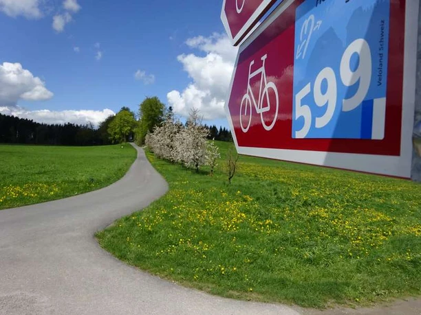 Unterwegs auf der Herzschlaufe Seetal #599.