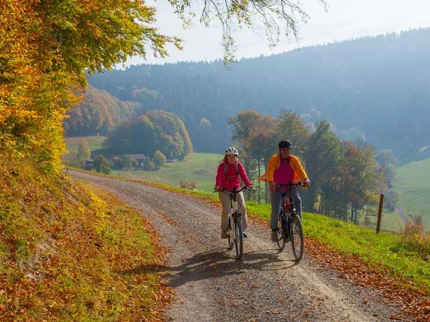 Unterwegs auf der Herzschlaufe Seetal #599.
