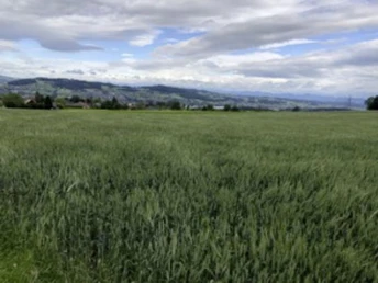 Rennvelo Tour ins Luzernische