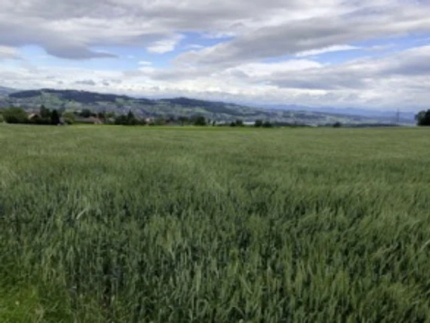 Rennvelo Tour ins Luzernische