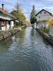IMG 4634