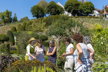 Öffentliche Führung durch den Barockgarten von Schloss Wildegg