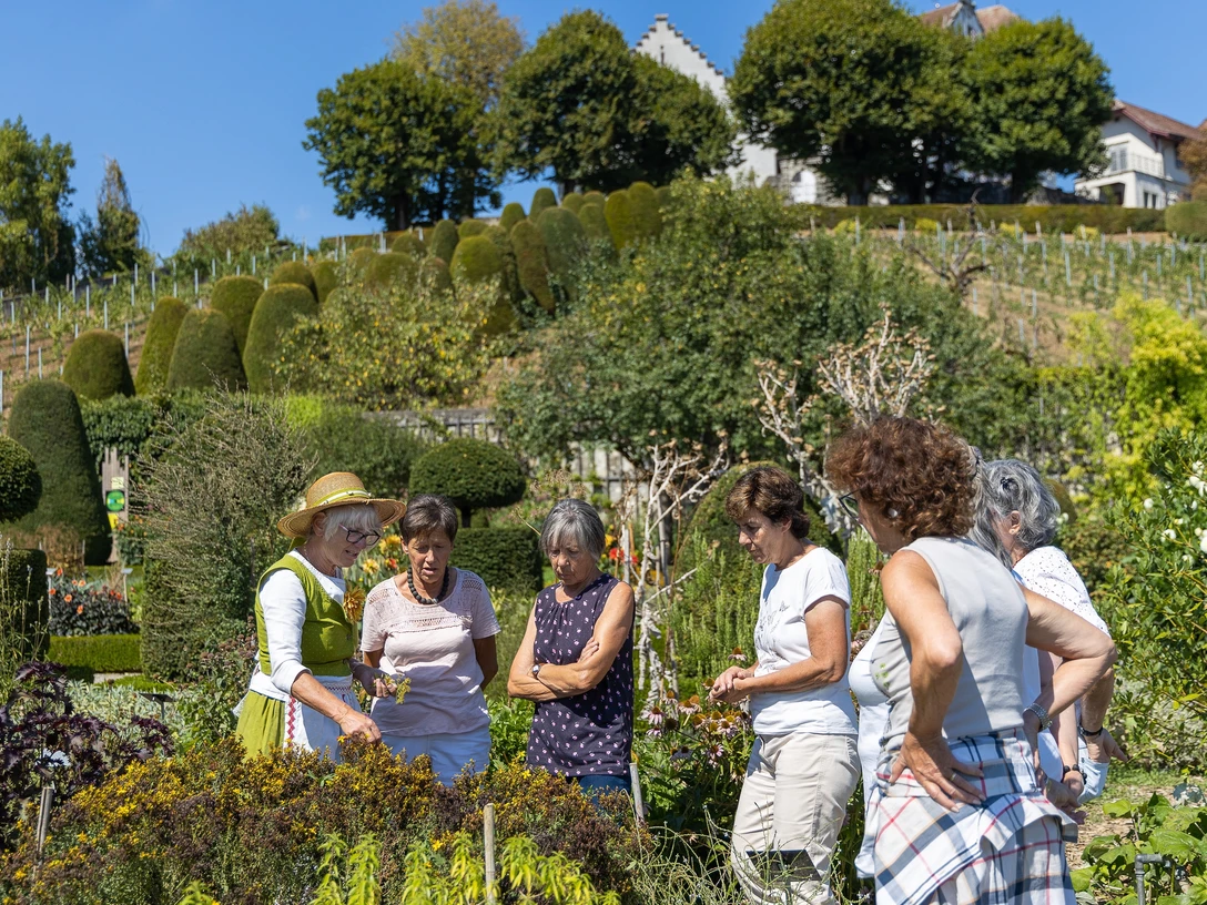 Öffentliche Führung durch den Barockgarten von Schloss Wildegg