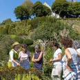 Öffentliche Führung durch den Barockgarten von Schloss Wildegg