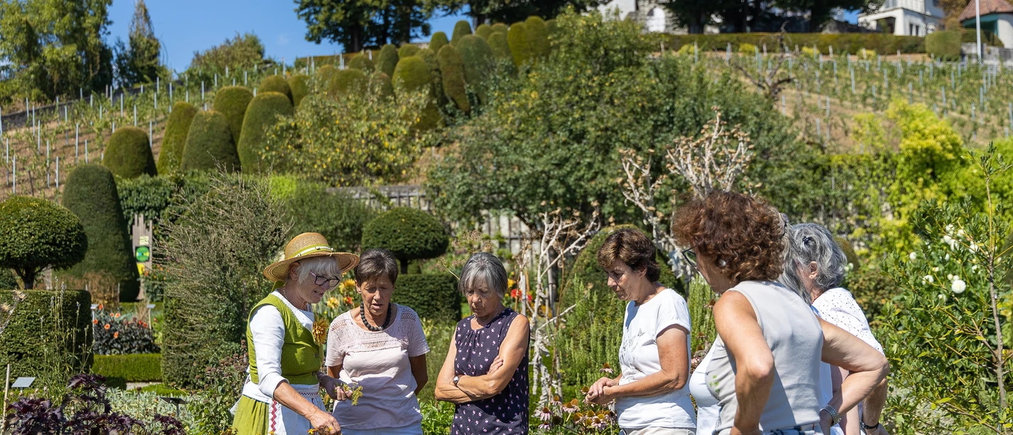 Öffentliche Führung durch den Barockgarten von Schloss Wildegg