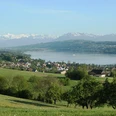 Hallwilersee