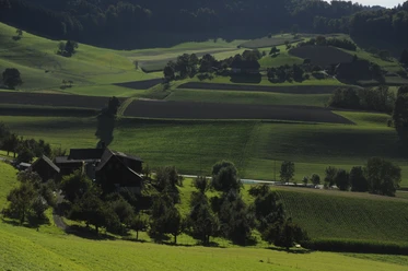 Melchnau Landwirtschaft