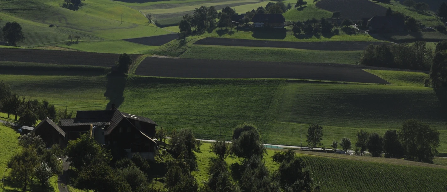 Melchnau Landwirtschaft