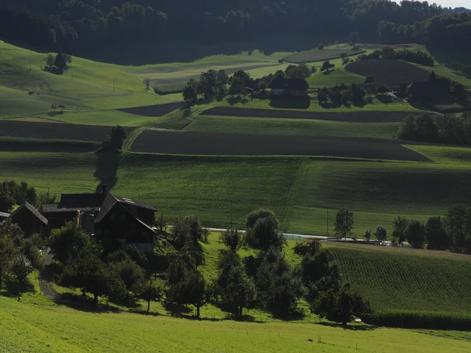 Melchnau Landwirtschaft