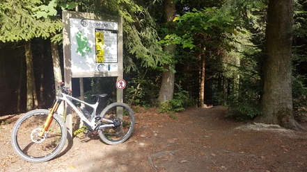 Start des Gigeliwald Trails