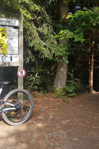 Start des Gigeliwald Trails