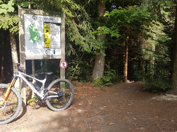 Start des Gigeliwald Trails