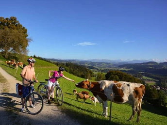 Unterwegs auf der Herzroute #99 im Emmental auf der Etappe Willisau - Burgdorf.