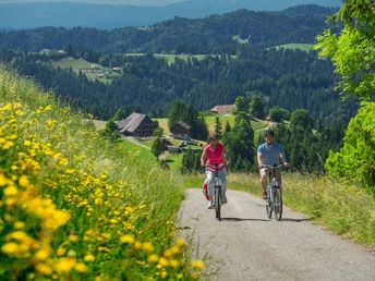 Unterwegs auf der Herzschlaufe Napf #399 auf der Langnau - Entlebuch.