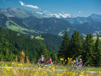 Unterwegs auf der Herzschlaufe Napf #399 auf der Langnau - Entlebuch.