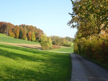 Unterwegs auf der Herzschlaufe Seetal #599.